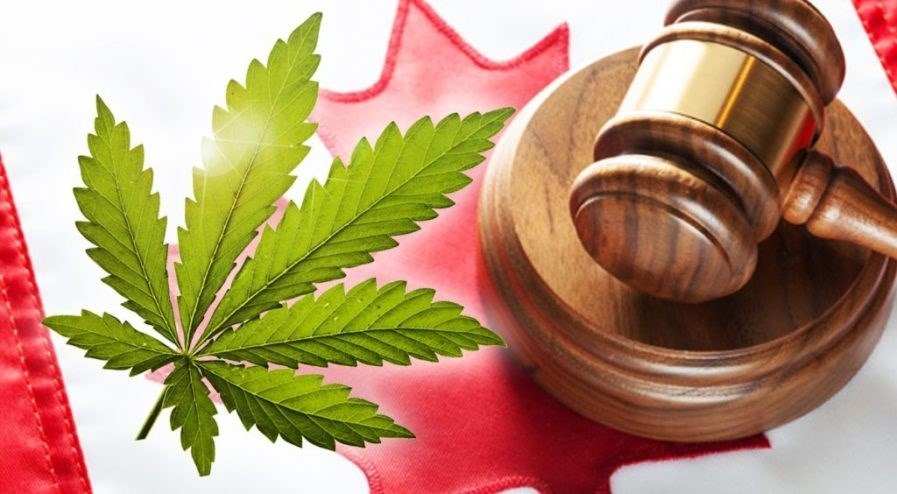 Cannabis act canada