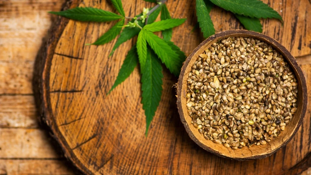 Seed Quality Matters