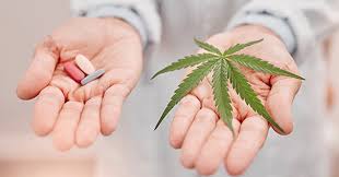 Medical Cannabis