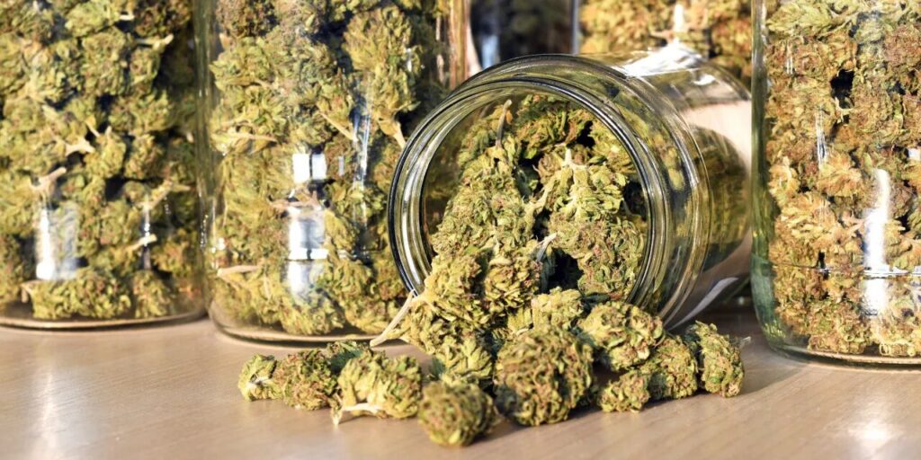 Cannabis and Meditation A Modern Wellness Combo