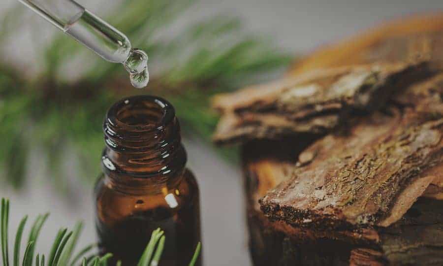 CBD Oil Support Digestive Health