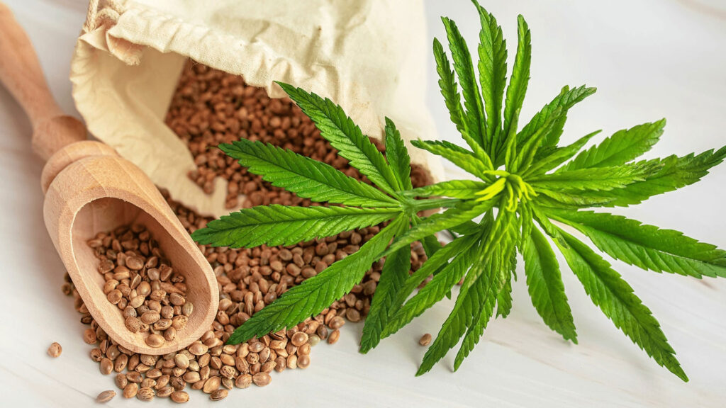 Cannabis and Mental Health